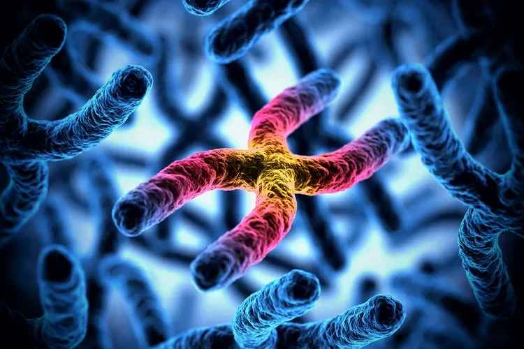 Gaucher Disease