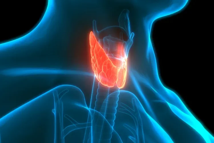 Thyroid Cancer