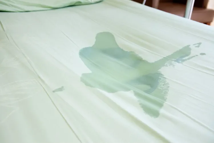 Sleep Disorders: Bedwetting (nocturnal enuresis): Overview, Causes, and Treatments