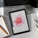 Exploring Procreate: The digital canvas for creators
